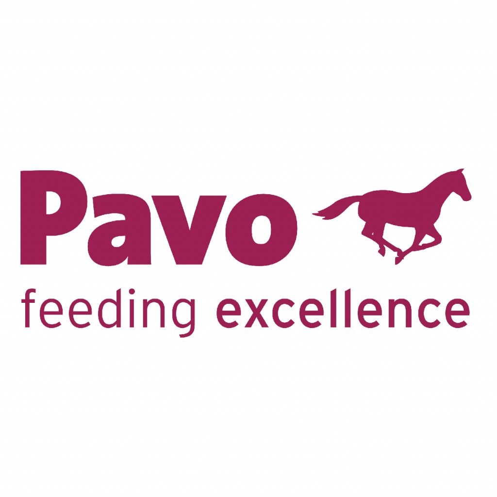 Pavo