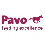 Pavo